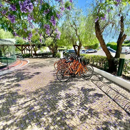 Apartman Pedras Del Rei - Casa Tavira