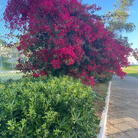 Pedras Del Rei - Casa Tavira