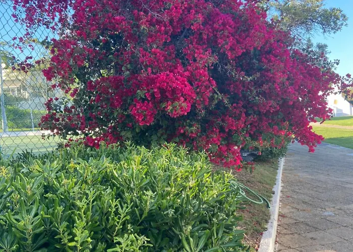 Pedras Del Rei - Casa 塔维拉