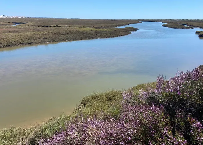 Pedras Del Rei - Casa Appartement Tavira